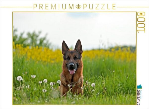 CALVENDO Puzzle CALVENDO Puzzle Deutscher Schäferhund Yack 1000 Teile Lege-Größe 64 x 48 cm Foto-Puzzle Bild von Petra Schiller, 1000 Puzzleteile