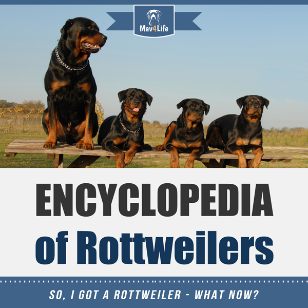 Encyclopedia of Rottweilers: So, I Got a Rottweiler - What Now?: Mav4Life , Hörbuch, Digital, ungekürzt, 33min