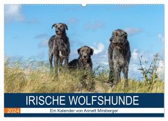 Irische Wolfshunde (Wandkalender 2024 DIN A2 quer), CALVENDO Monatskalender
