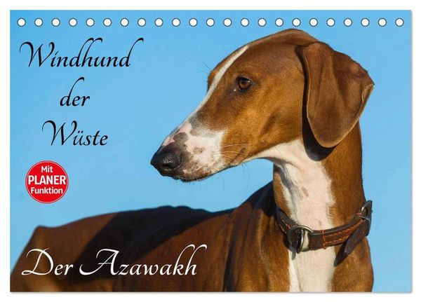 Windhund der Wüste - Der Azawakh (Tischkalender 2024 DIN A5 quer), CALVENDO Monatskalender
