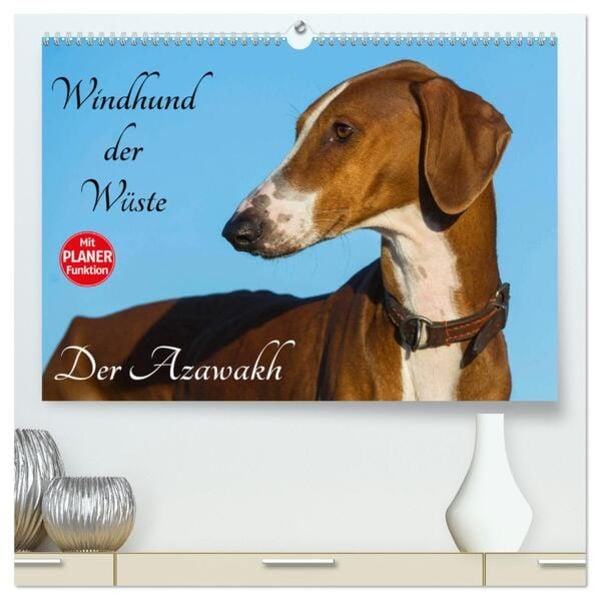 Windhund der Wüste - Der Azawakh (hochwertiger Premium Wandkalender 2024 DIN A2 quer), Kunstdruck in Hochglanz