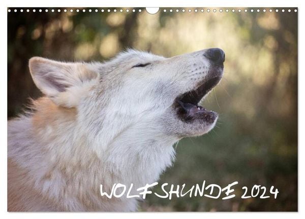 Wolfshunde 2024 (Wandkalender 2024 DIN A3 quer), CALVENDO Monatskalender