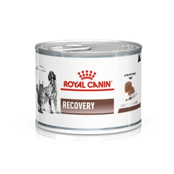 ROYAL CANIN Veterinary RECOVERY 12x195g