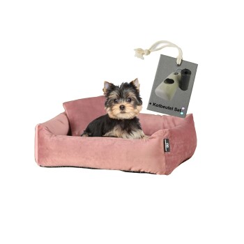 Rohrschneider ® Hundebett inkl. Gratis-Beigabe