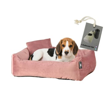 Rohrschneider ® Hundebett inkl. Gratis-Beigabe