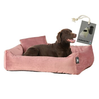 Rohrschneider ® Hundebett inkl. Gratis-Beigabe