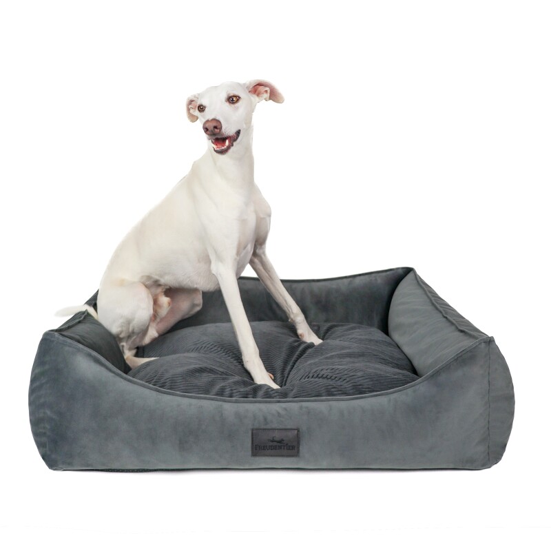 Freudentier orthopädisches Hundebett mit Cord/Velour Wendekissen anthrazit M