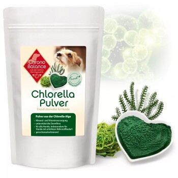 ChronoBalance Chlorella Pulver 100 g