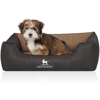 Knuffelwuff Orthopädisches Hundebett Outback aus laser-gestepptem Kunstleder creme/ schwarz M-L