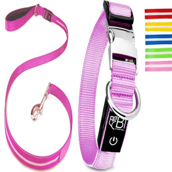 Petsation Leuchthalsband + Leine pink S