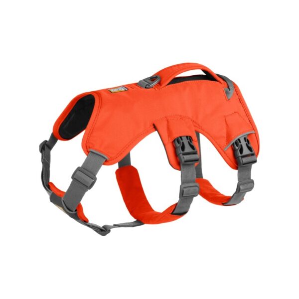 Ruffwear Web Master™ Geschirr orange XXS