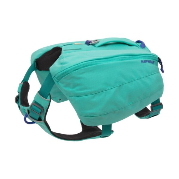 Ruffwear Front Range™ Hundetagesrucksack blau/ türkis S