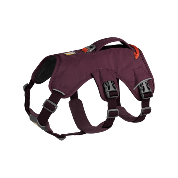 Ruffwear Web Master™ Geschirr violett XXS