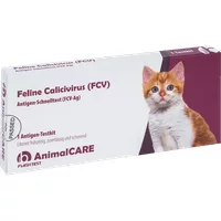Calicivirus Schnelltest für Katzen