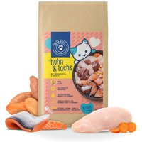PetsDeli Premium Trockenfutter Huhn & Lachs Junior für Katzen