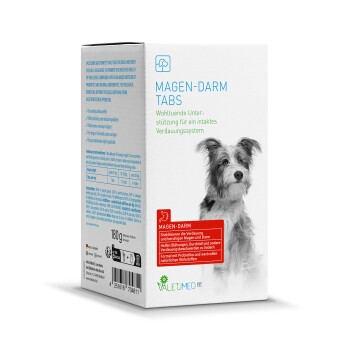 Valetumed Tabs Magen Darm 2x 180g