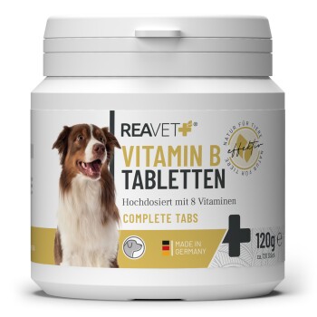 REAVET Vitamin B Tabletten 120Stk