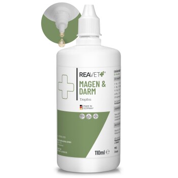 REAVET Magen & Darm Tropfen 110ml