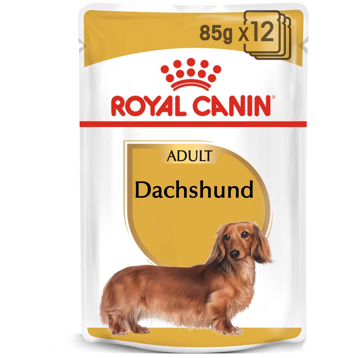 ROYAL CANIN Dachshund Adult Hundefutter nass für Dackel 12x85g