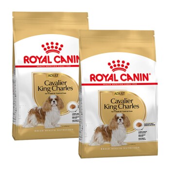 ROYAL CANIN Cavalier King Charles Adult 2x1