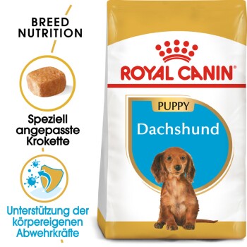 ROYAL CANIN Dachshund Puppy 1