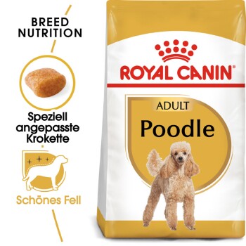 ROYAL CANIN Poodle Adult 3 kg