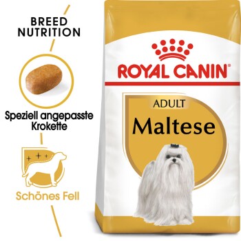 ROYAL CANIN Maltese Adult 1