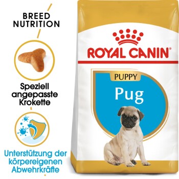 ROYAL CANIN Mops Puppy 1