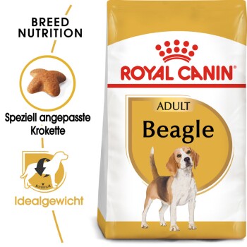 ROYAL CANIN Beagle Adult 12 kg