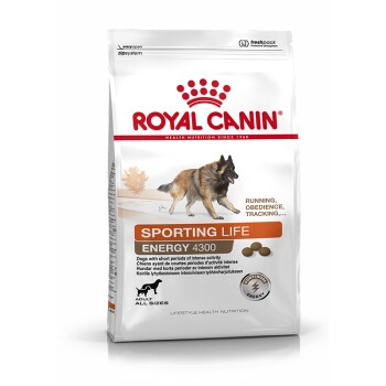 ROYAL CANIN ENERGY 4300 (TRAIL) 15 kg