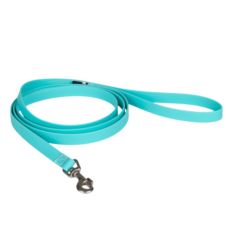 Paikka Glow Leash aqua aqua 1