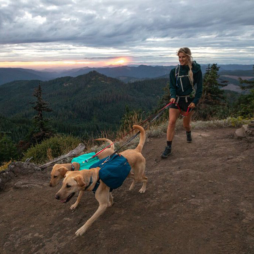 Ruffwear Front Range Day Pack - Basalt Gray - M