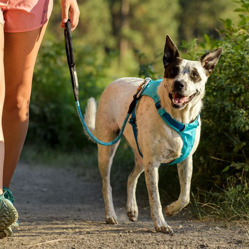 Ruffwear Hi & Light Harness - Sage Green - S