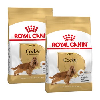 ROYAL CANIN Cocker Adult 2x12 kg