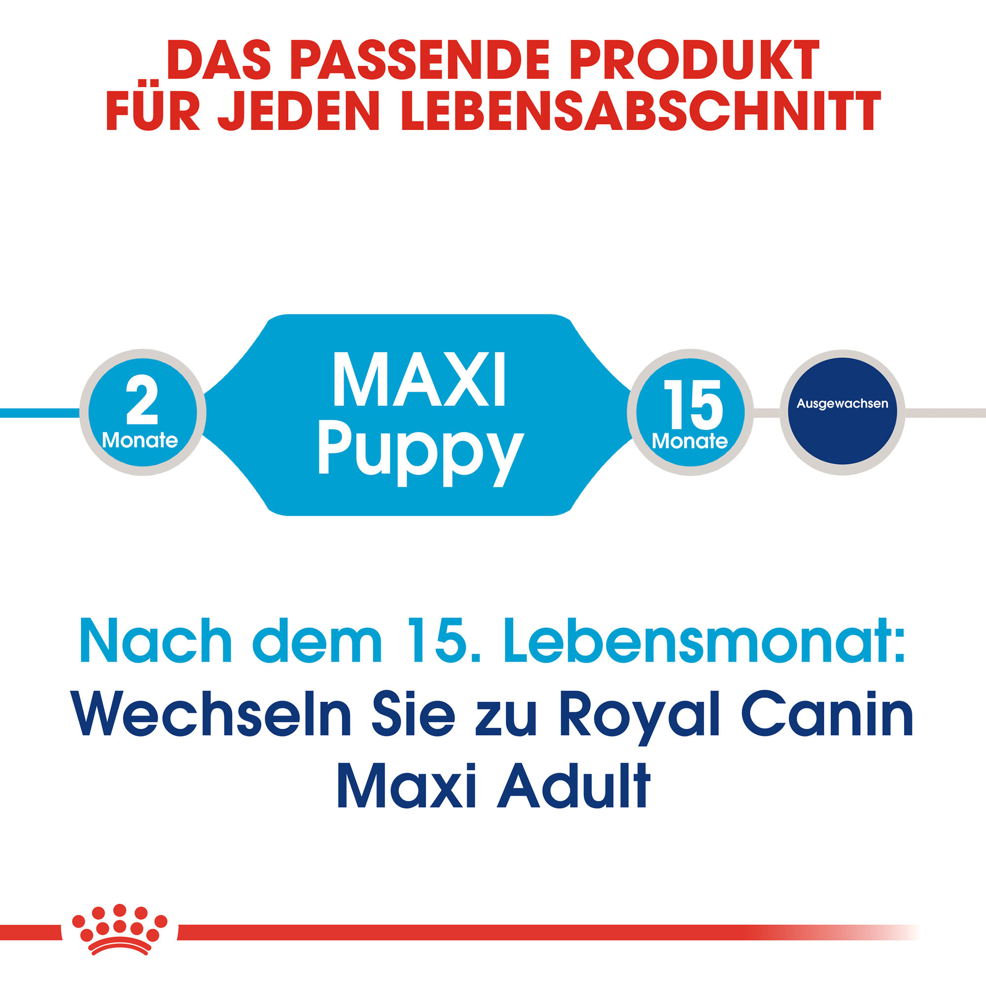 Royal Canin Maxi Puppy Hundefutter - 10 kg