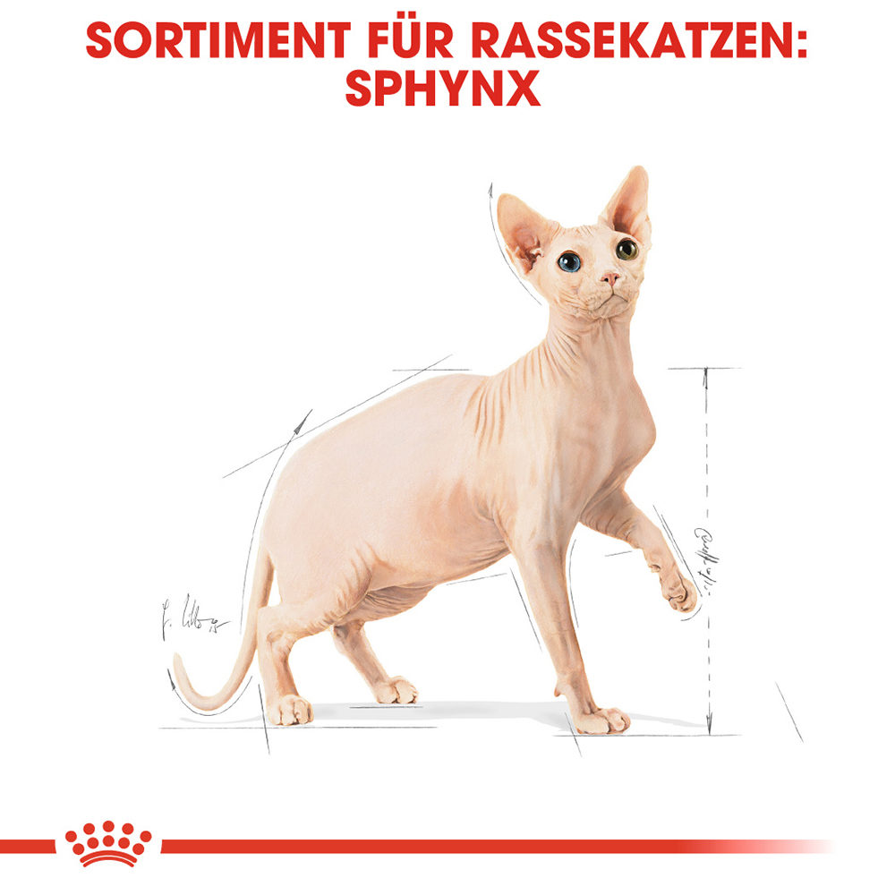 Royal Canin Sphynx Adult Katzenfutter - 10 kg