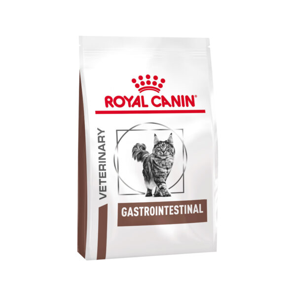 Royal Canin Gastro Intestinal Katze Kombi-Paket - 4 kg + 12 x 85 g