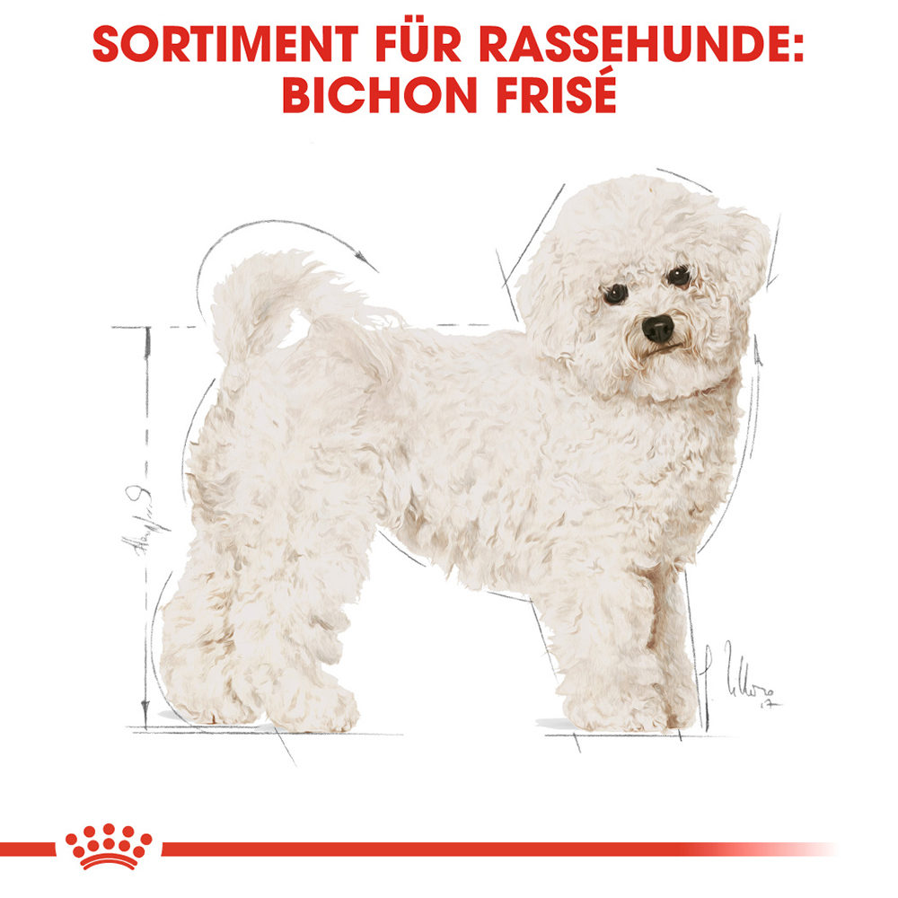 Royal Canin Bichon Frisé Adult Hundefutter - 1