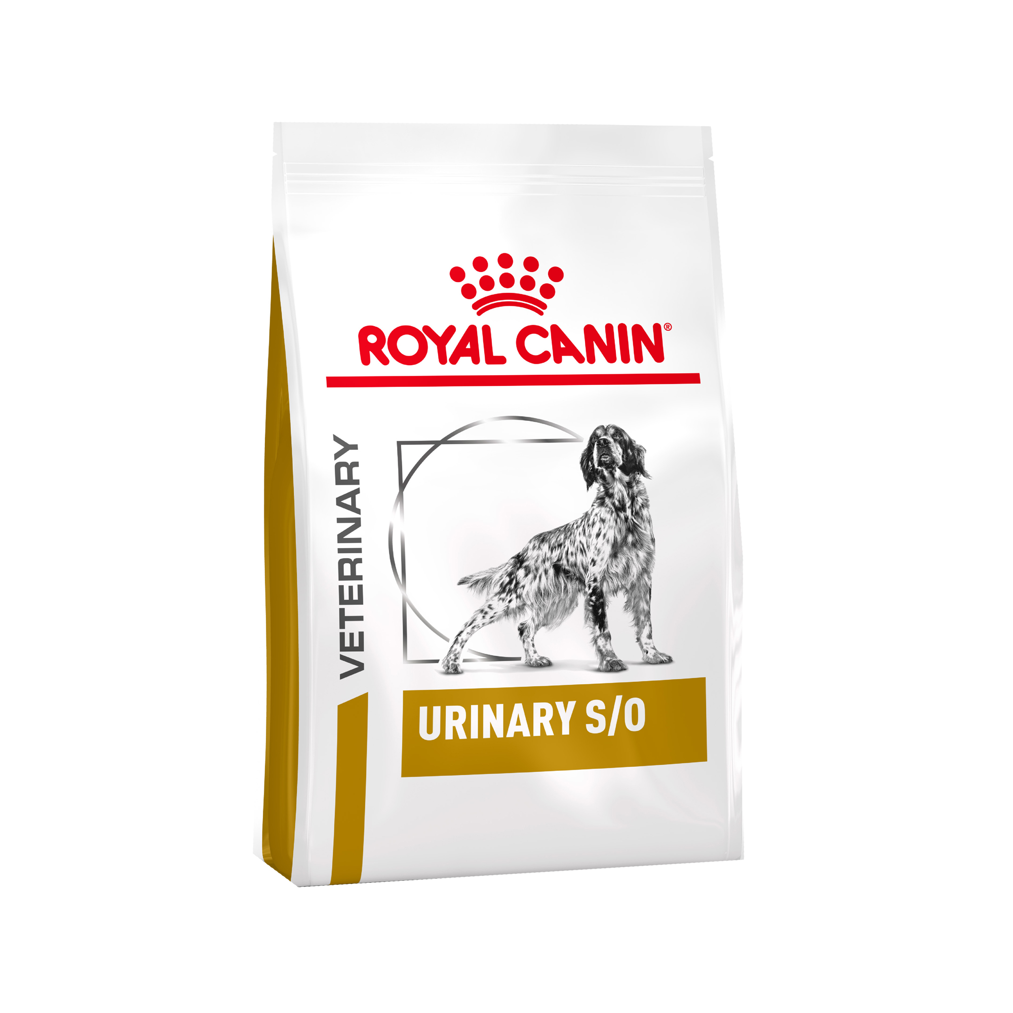 Royal Canin Urinary S/O Hund Sparpaket - 13 kg + 12 x 100 g Frischebeutel