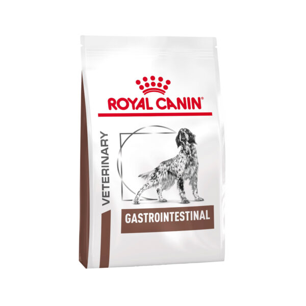 Royal Canin Gastro Intestinal Hund Sparpaket - 7