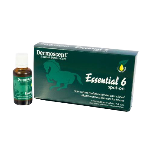 Dermoscent Essential 6 Spot-On Pferd - 4 x 30 ml