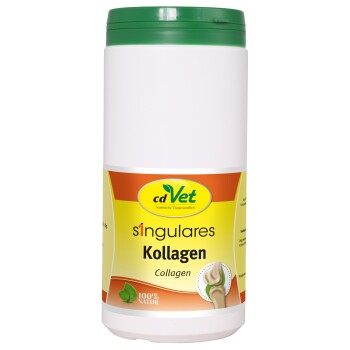 Singulares Kollagen 500 g