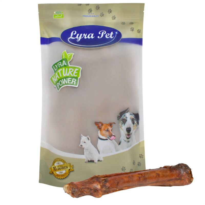 Lyra Pet Pferdeknochen mit Sehne 1 kg