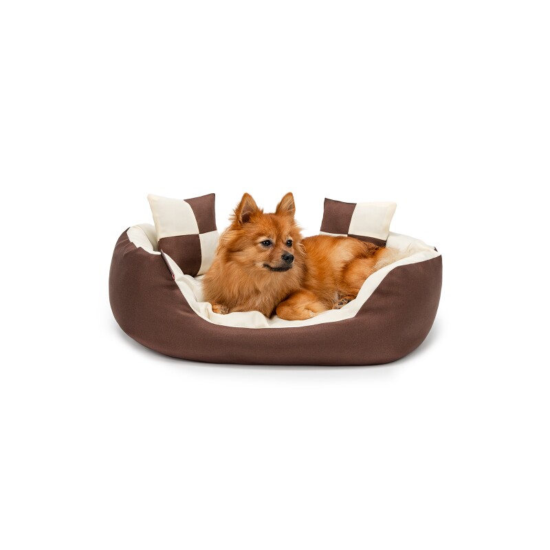 Lionto 4-in-1 Hundebett S