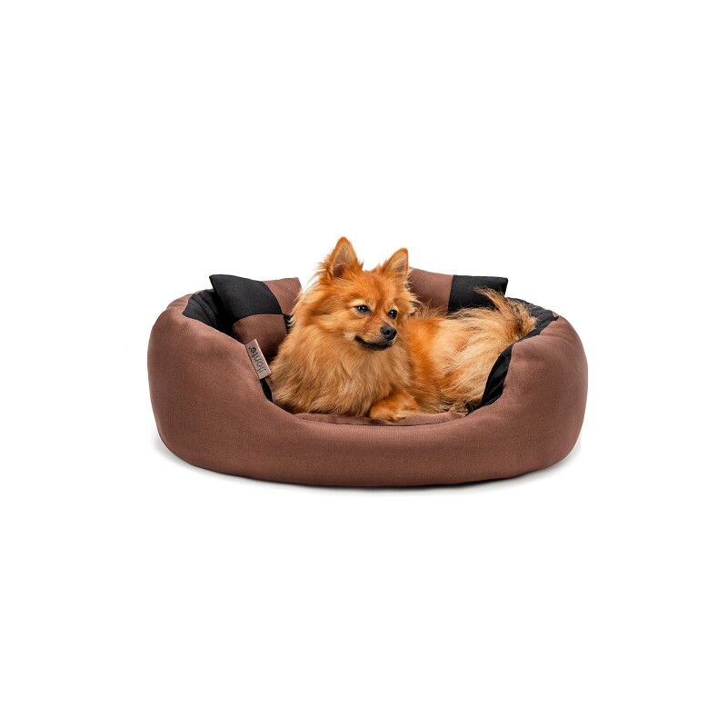 Lionto 4-in-1 Hundebett S