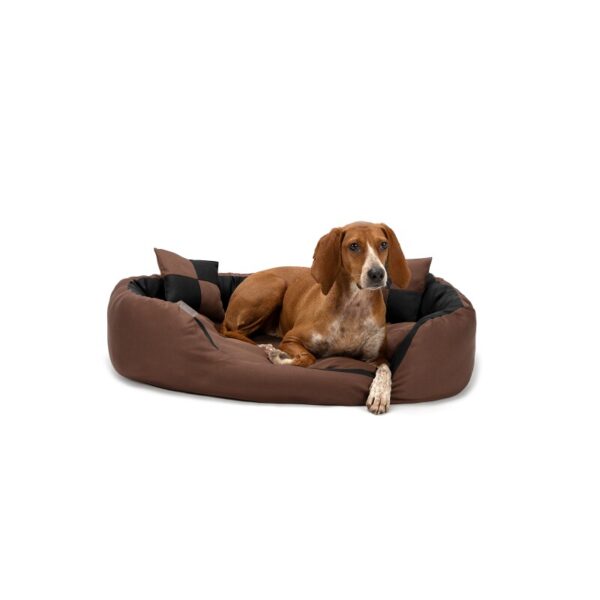 Lionto 4-in-1 Hundebett M