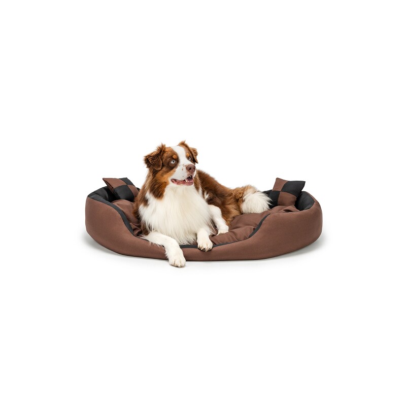 Lionto 4-in-1 Hundebett L