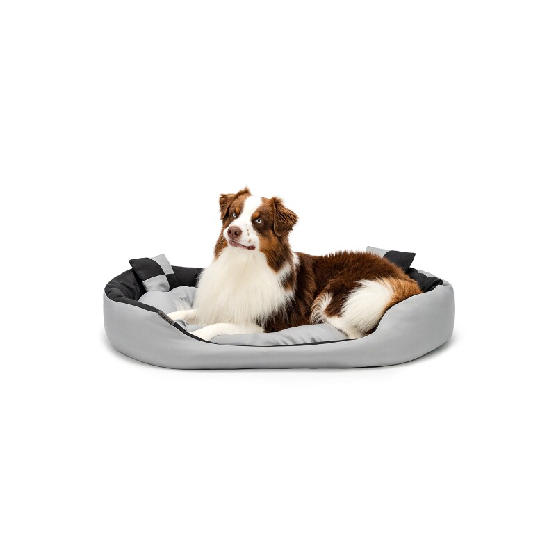 Lionto 4-in-1 Hundebett L