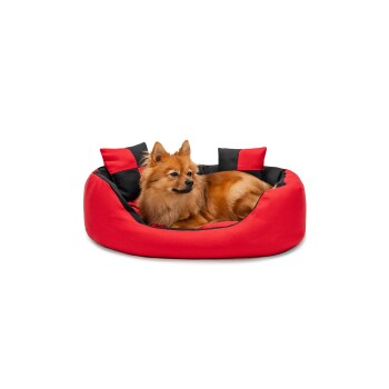 Lionto 4-in-1 Hundebett S