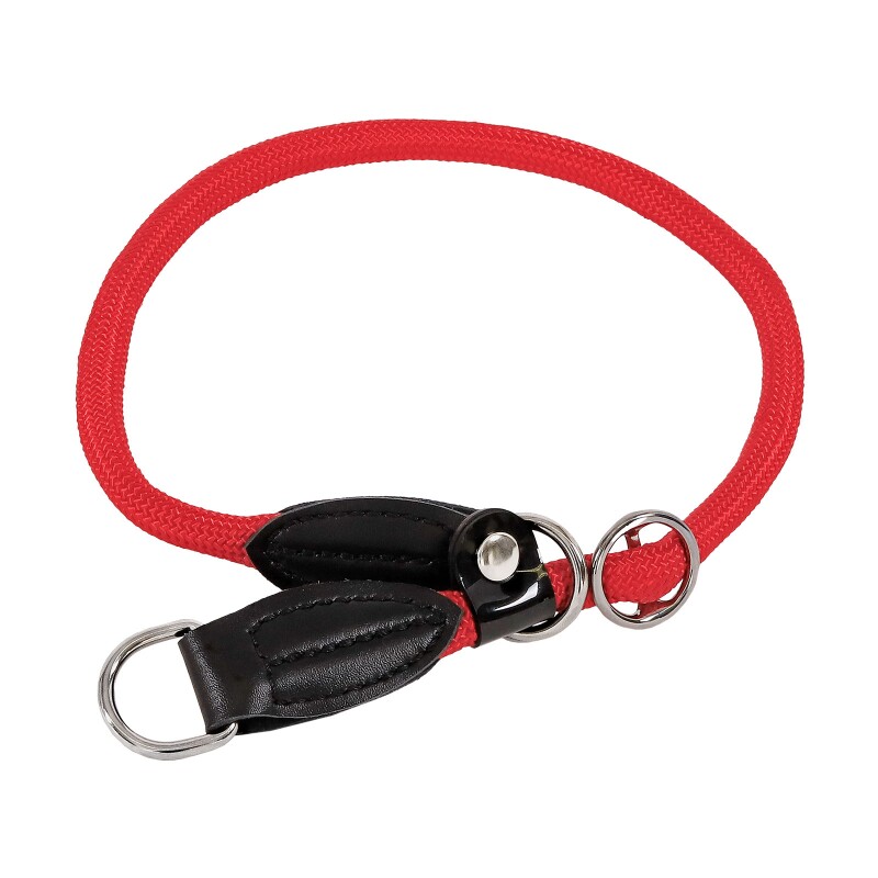 Lionto Hundehalsband